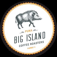 BidIslandCoffeeRoasters-logo_200x.jpg