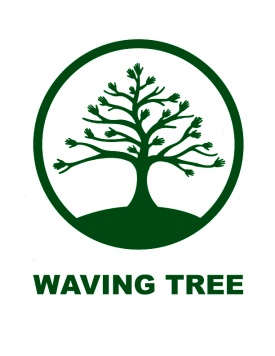 WTlogo-green-tree-no-background-WT-e1431727854611.jpg