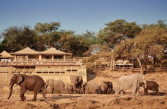 belmond-savute-elephant.jpg