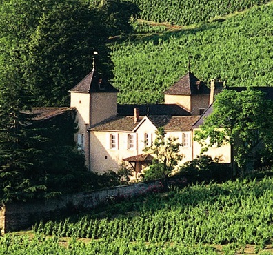 chateau-thivin-domaine-mont-brouilly.jpg